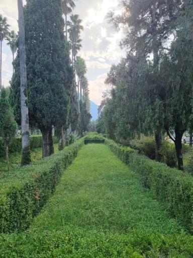 عکس بلوار کازینو