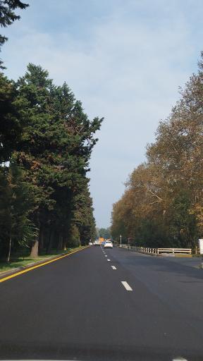 عکس بلوار کازینو