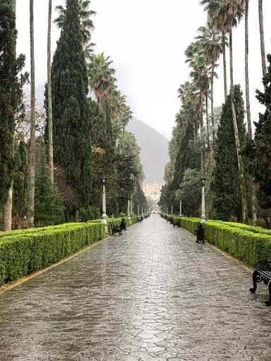 عکس بلوار کازینو