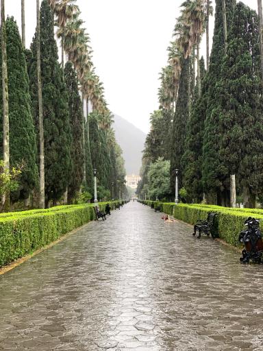 عکس بلوار کازینو