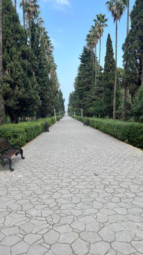 عکس بلوار کازینو