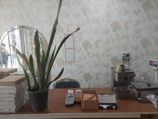 عکس آشپزخانه و غذا ی آماده بانو