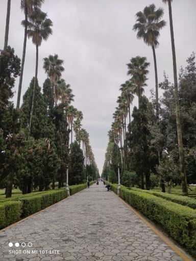 عکس بلوار کازینو