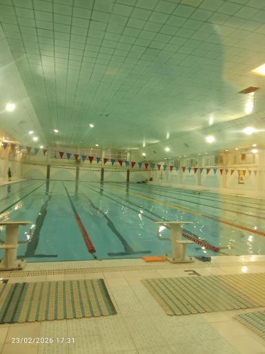 عکس استخر شهید حججی