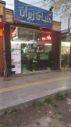 عکس آکواریوم دنیای زیر آب