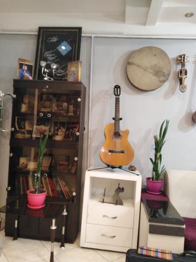 عکس آموزشگاه موسیقی همایون