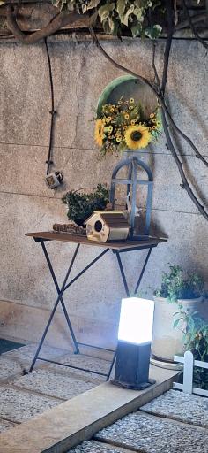 عکس کافه آفتابگردان