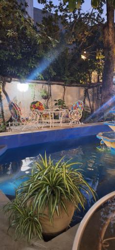 عکس کافه آفتابگردان