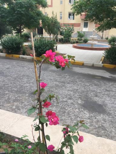 عکس مجتمع مسکونی خلیج فارس فاز ۲