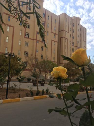 عکس مجتمع مسکونی خلیج فارس فاز ۲