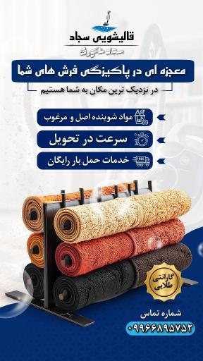 عکس قالیشویی شویی سجاد 