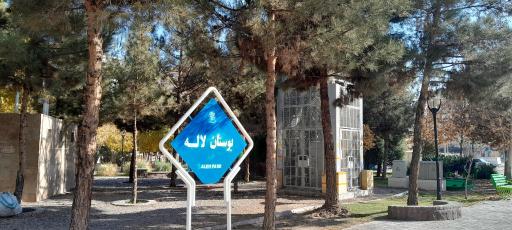 عکس بوستان لاله