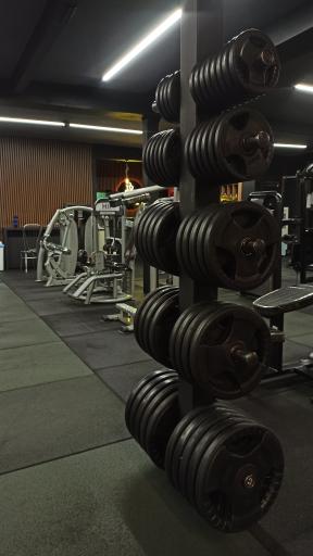 عکس باشگاه بدنسازی کسری