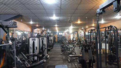 عکس مجموعه ورزشی روژان 