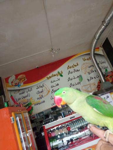 عکس فست فود سیاه سفید 