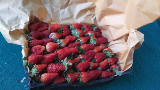 عکس بارفروشی محسن زارعلی