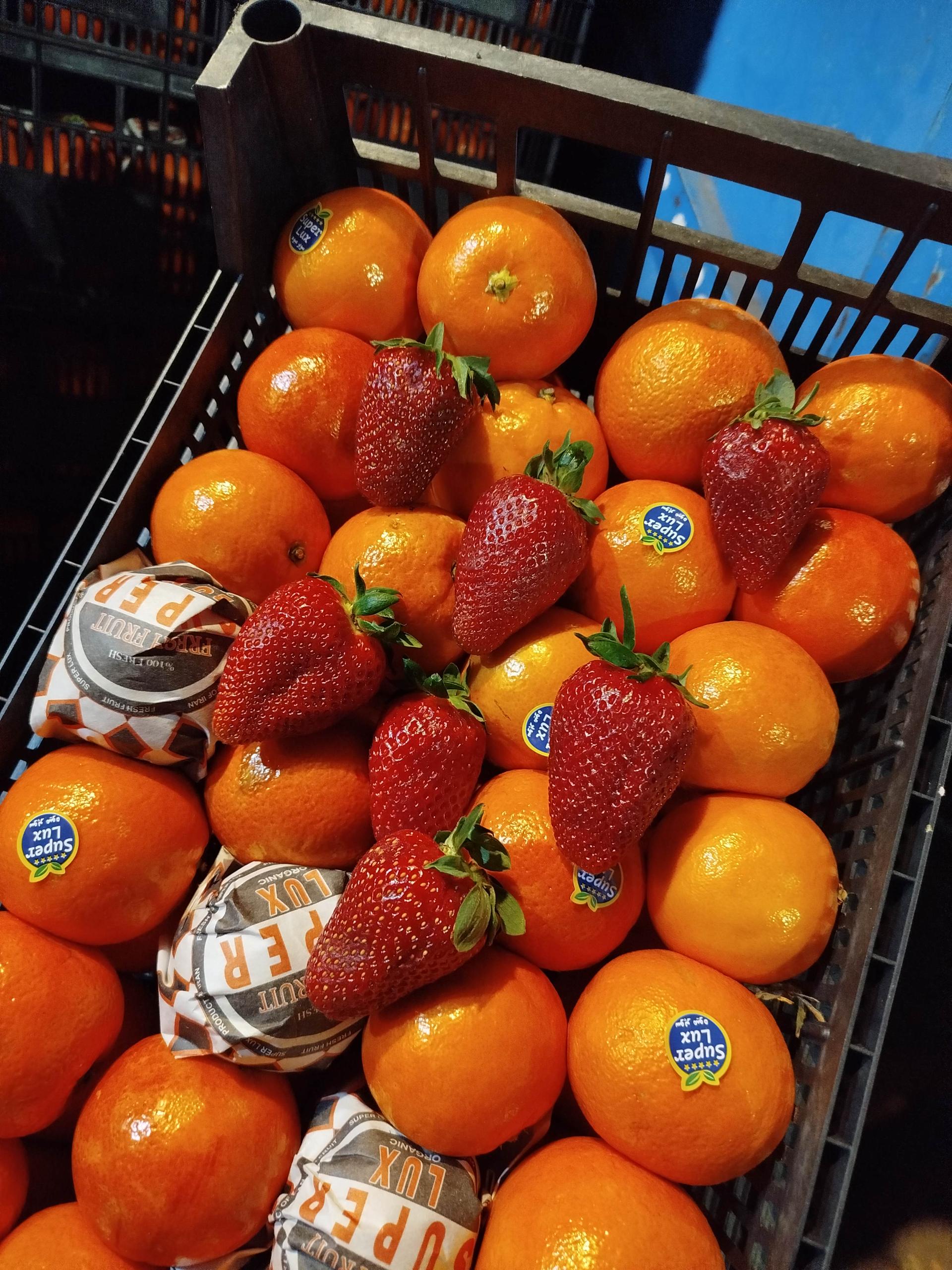 عکس بارفروشی محسن زارعلی