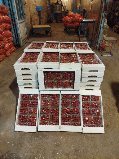 عکس بارفروشی محسن زارعلی