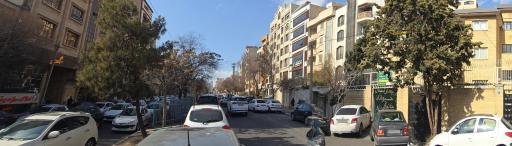 عکس بیمارستان دامپزشکی حیوانت خانگی زی