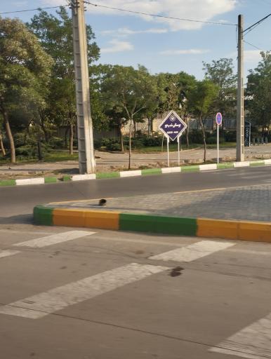 عکس بوستان شب‌بو (خطی سیدرضی)