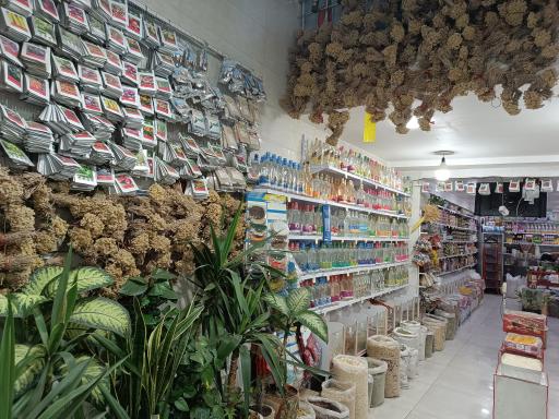 عکس عطاری حکیم