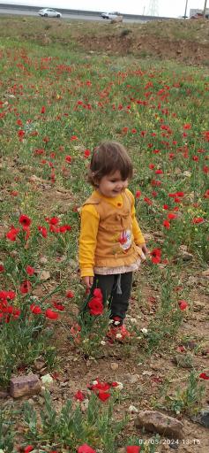 عکس پارک لاله محله شهرک بسیجیان