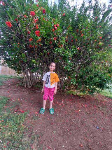 پارک بام شهر