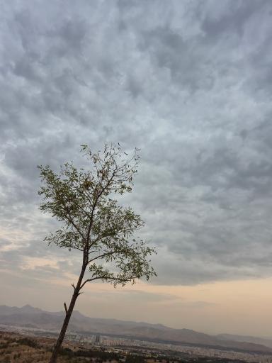 عکس بام گودی