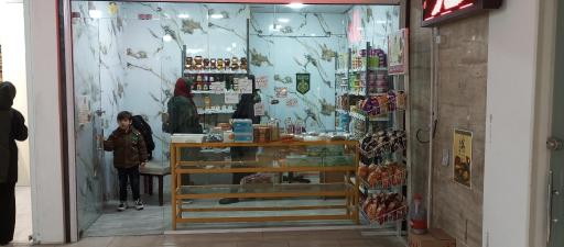 عکس فروشگاه آلاکو