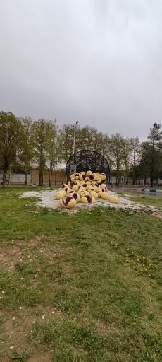 عکس المان انجیر