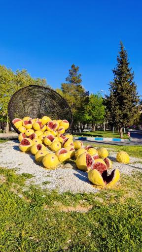 عکس المان انجیر