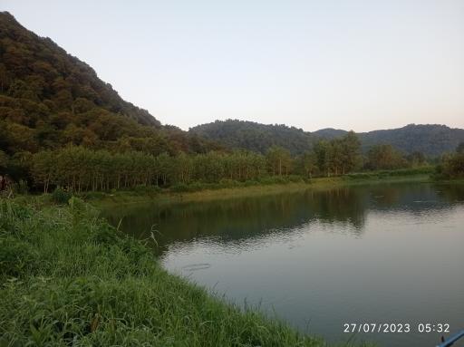 عکس دیوشل