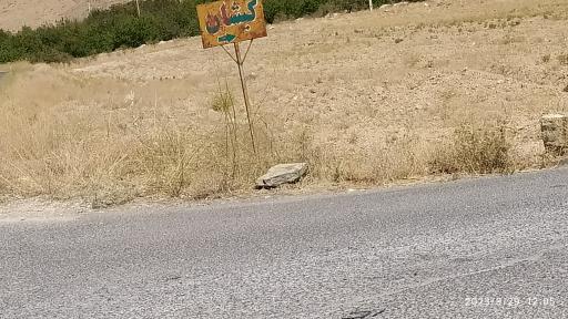 عکس کیشان