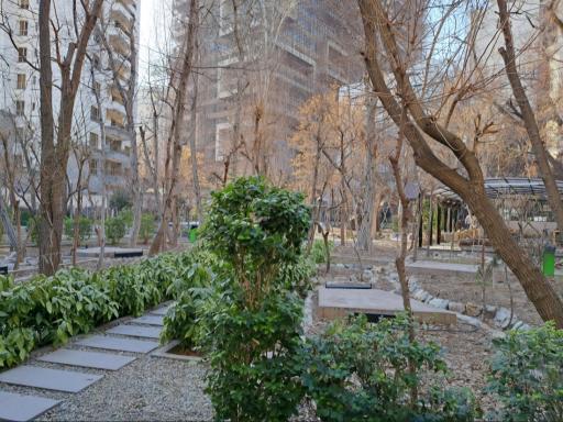 عکس گالری ریشه ۲۹