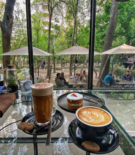 عکس گالری ریشه ۲۹