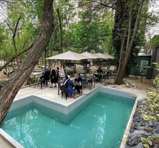 عکس گالری ریشه ۲۹