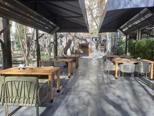 عکس گالری ریشه ۲۹