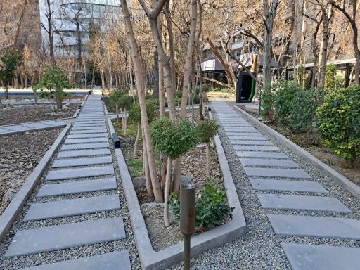 عکس گالری ریشه ۲۹