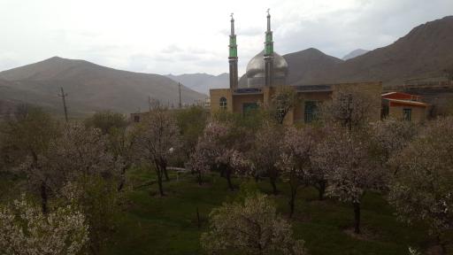 عکس کیشان