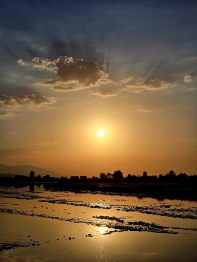 عکس نور