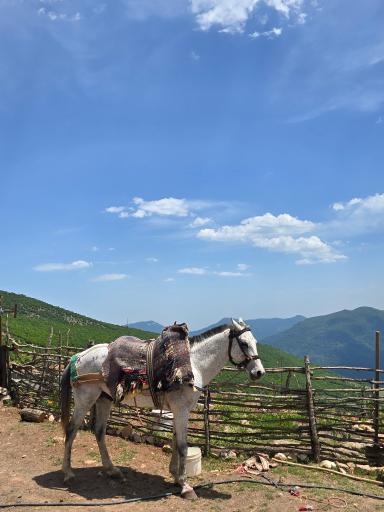 عکس نور