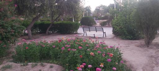 عکس پارک لاله