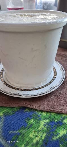 لبنیات سنتی دهاتی