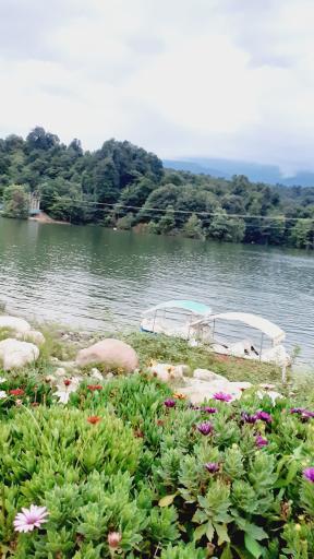 عکس نور