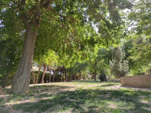 عکس پارک لاله