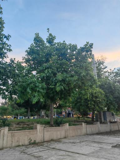 عکس پارک لاله