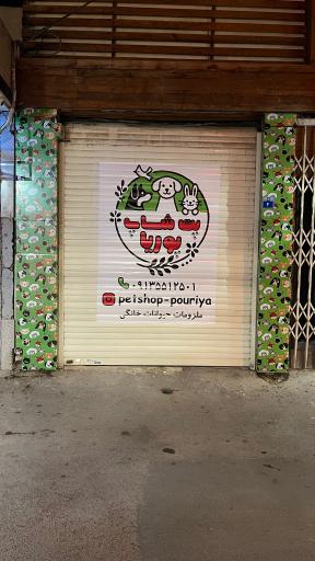 عکس پت شاپ پوریا 