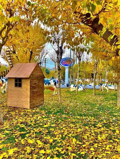 عکس مجتمع صنایع غذایی میهن