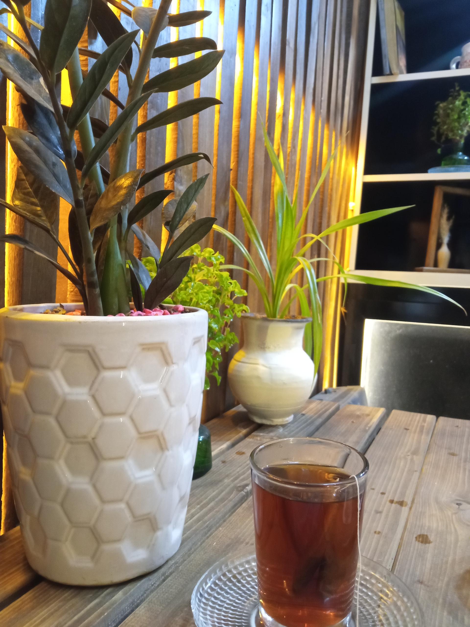 عکس کافه گپ