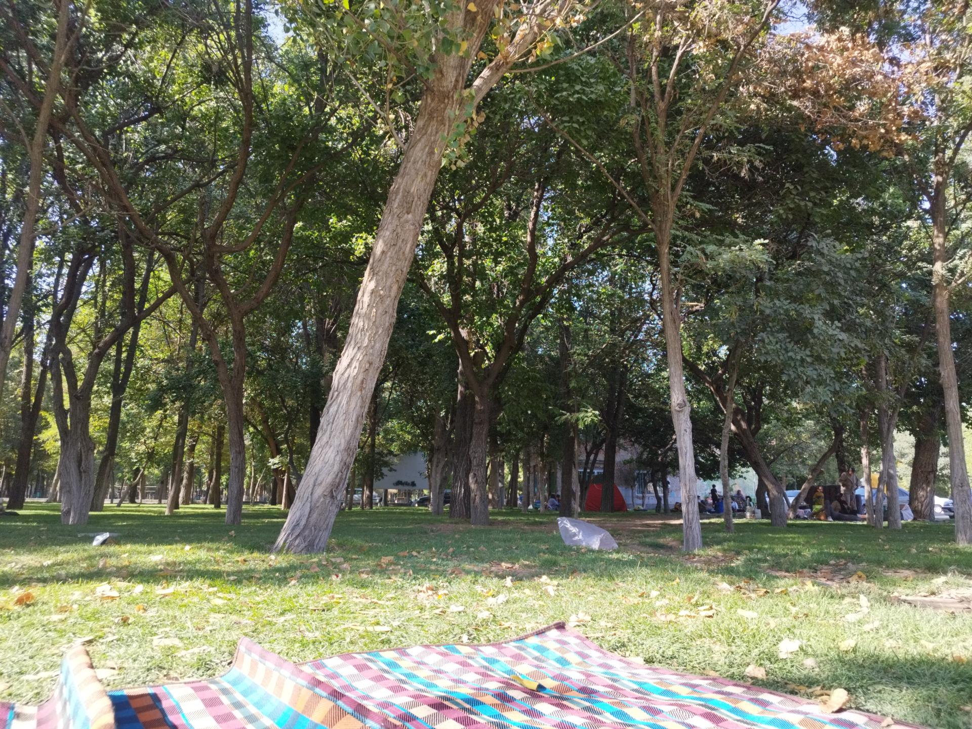 عکس پارک سقز مسافران